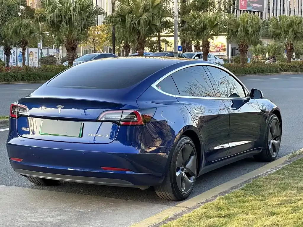 Tesla Model 3 2021 из CN, фото 9