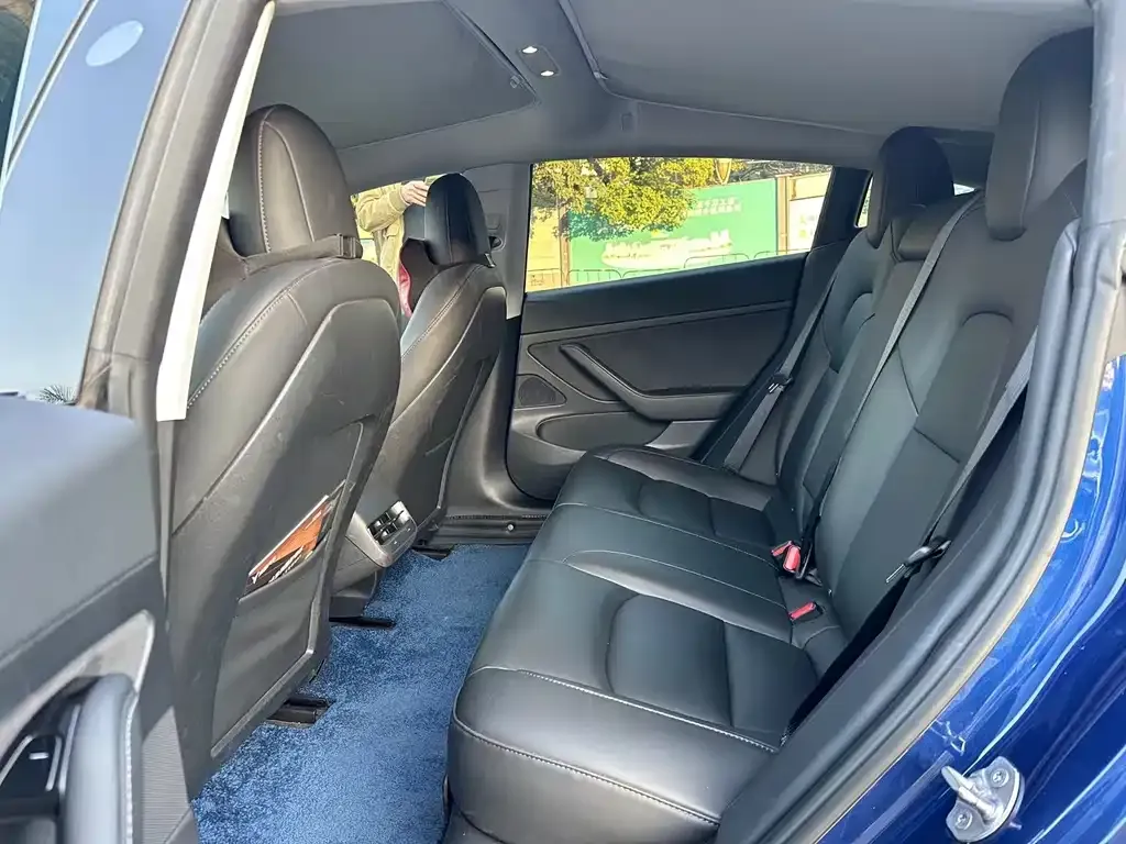 Tesla Model 3 2021 из CN, фото 4