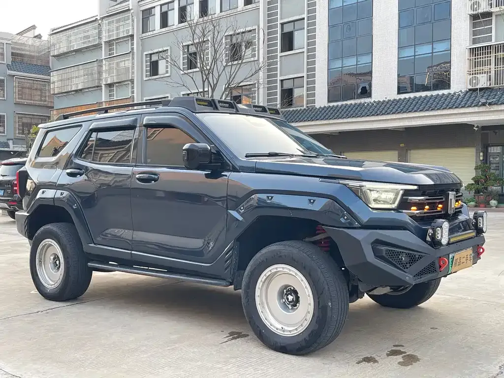 Tank 400 New Energy 2024 из CN, фото 10