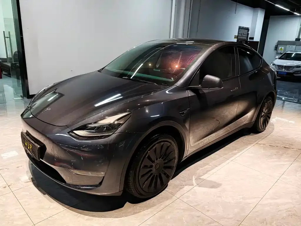 Tesla Model Y — фото 1