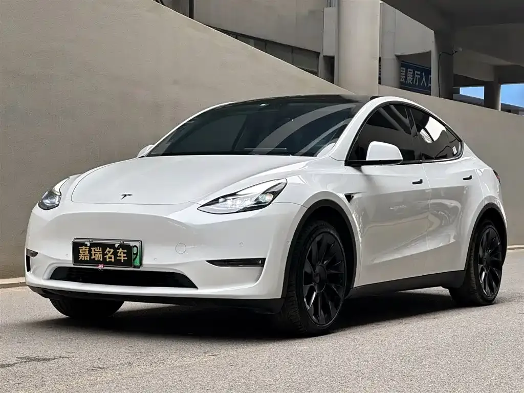 Tesla Model Y — фото 1