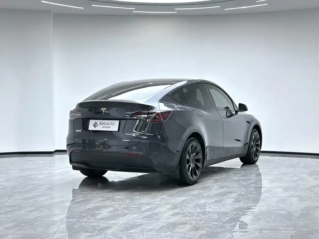 Tesla Model Y 2024 из CN, фото 8