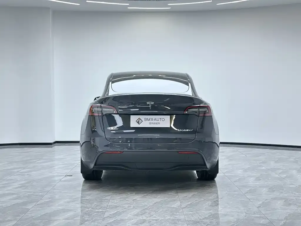 Tesla Model Y 2024 из CN, фото 2