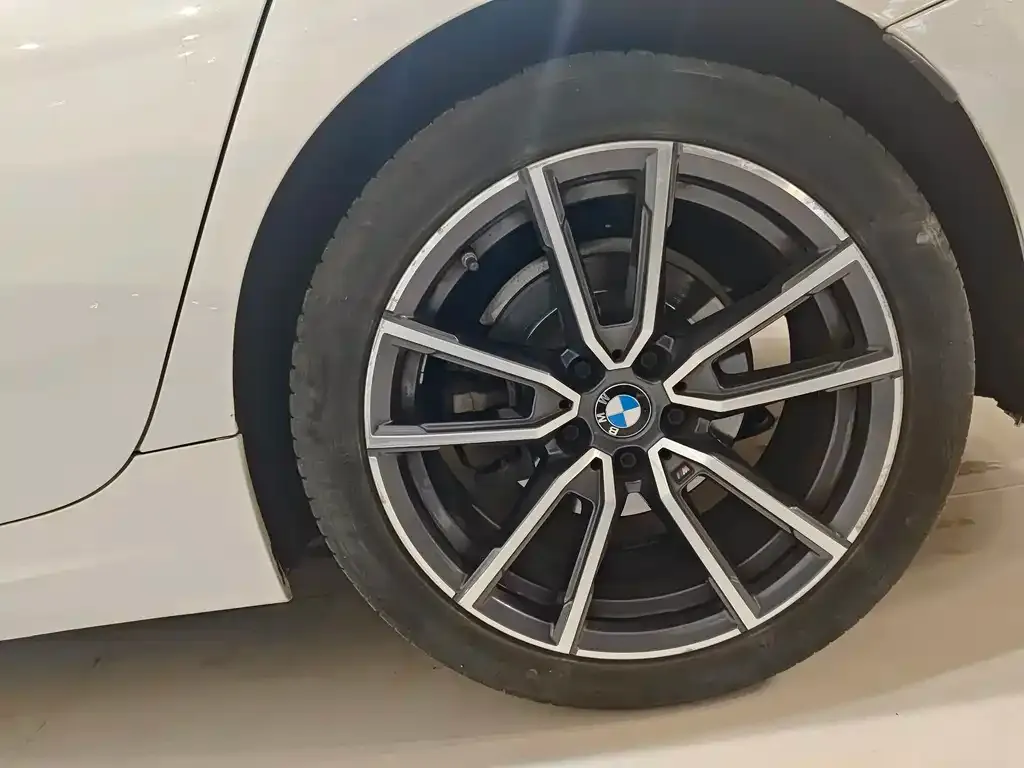 BMW 3 Series 2021 из CN, фото 9