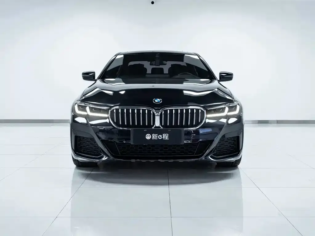 BMW 5 Series New Energy — фото 3
