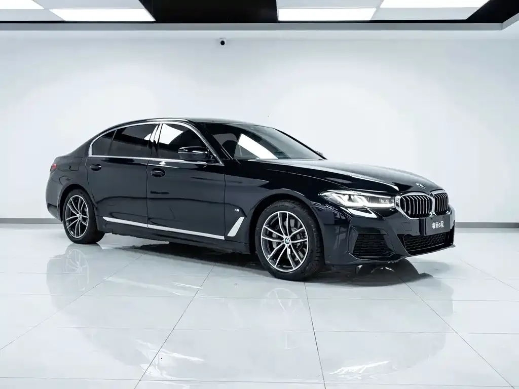 BMW 5 Series New Energy — фото 5