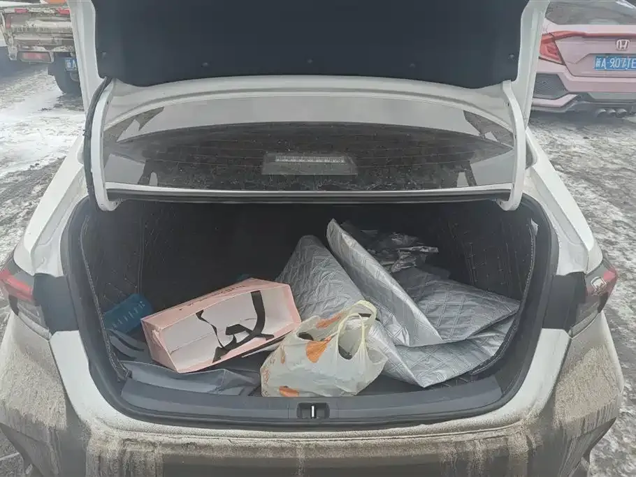 Toyota Corolla 2022 из CN, фото 10