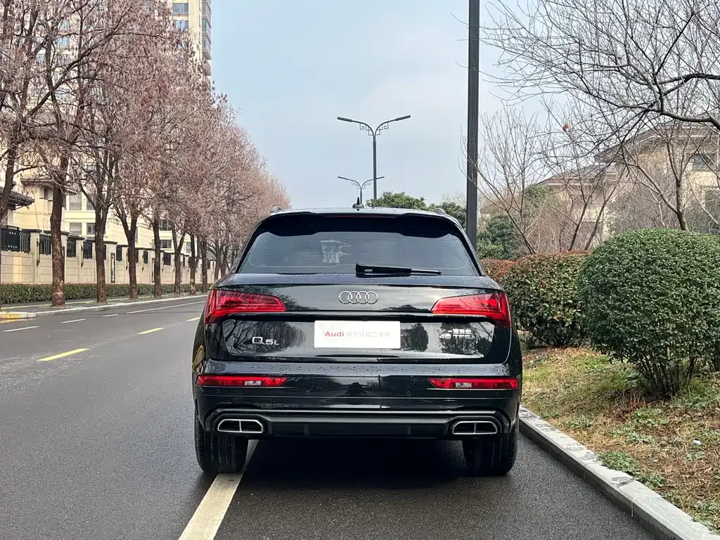 Audi Q5L 2024 из CN, фото 8