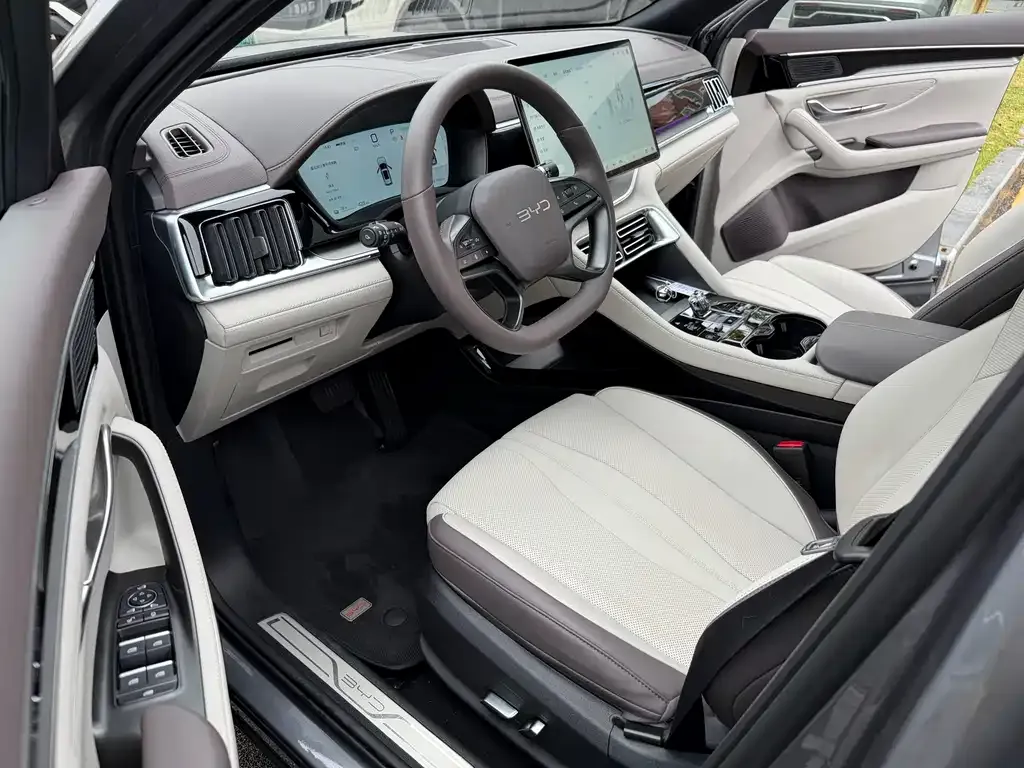 BYD PLUS New Energy — фото 3