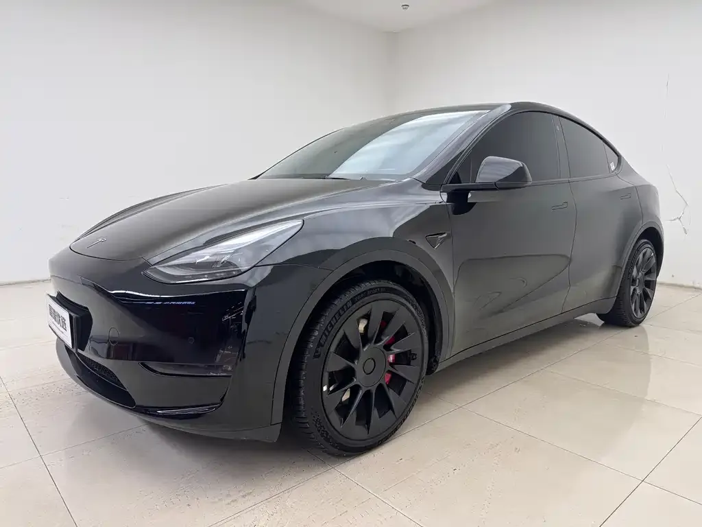 Tesla Model Y — фото 1