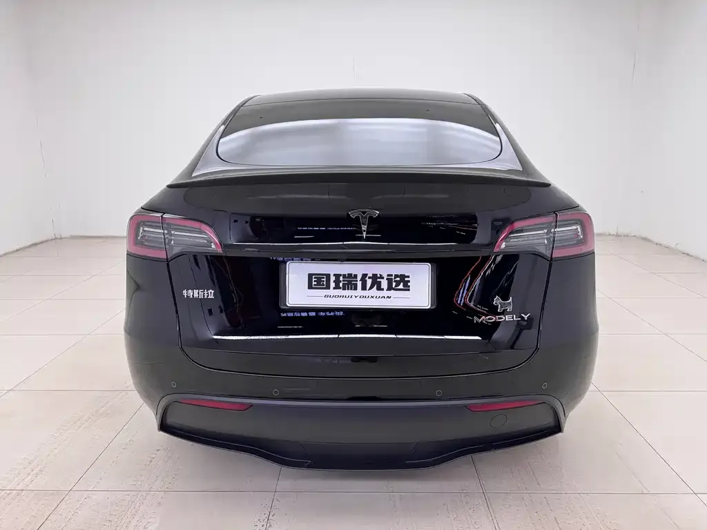 Tesla Model Y — фото 2