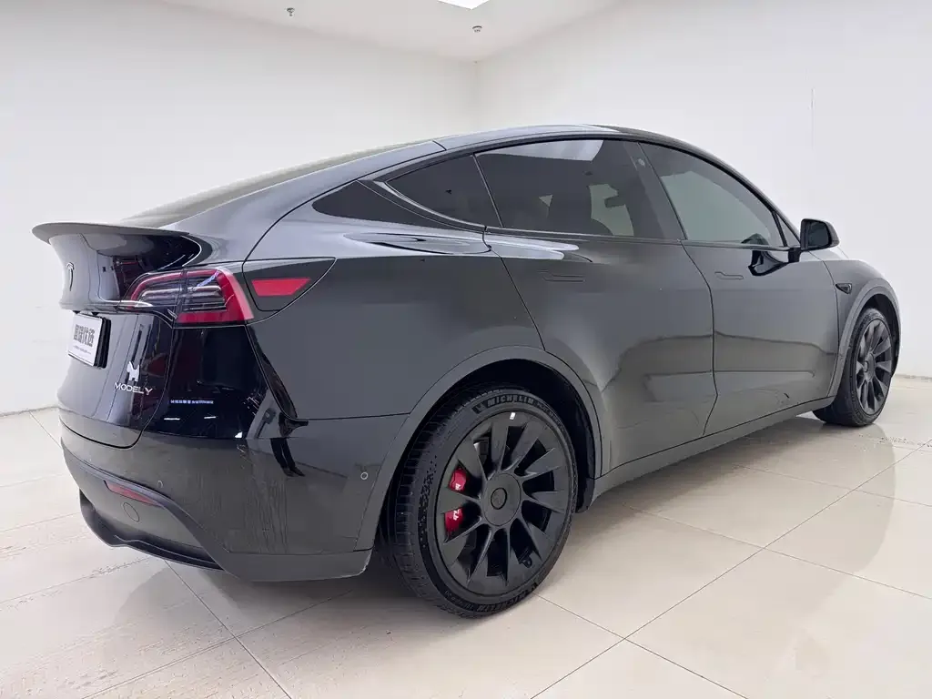 Tesla Model Y — фото 10