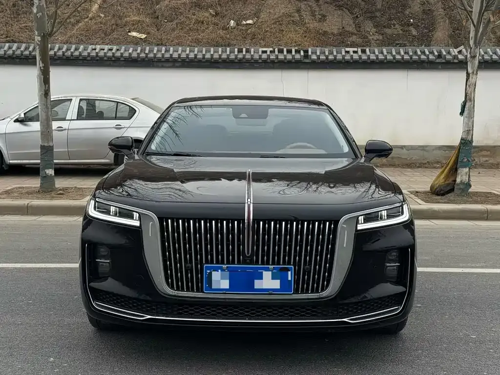 Hongqi H9 2021 из CN, фото 8