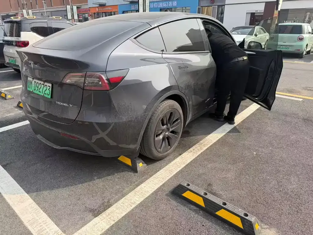 Tesla Model Y — фото 4
