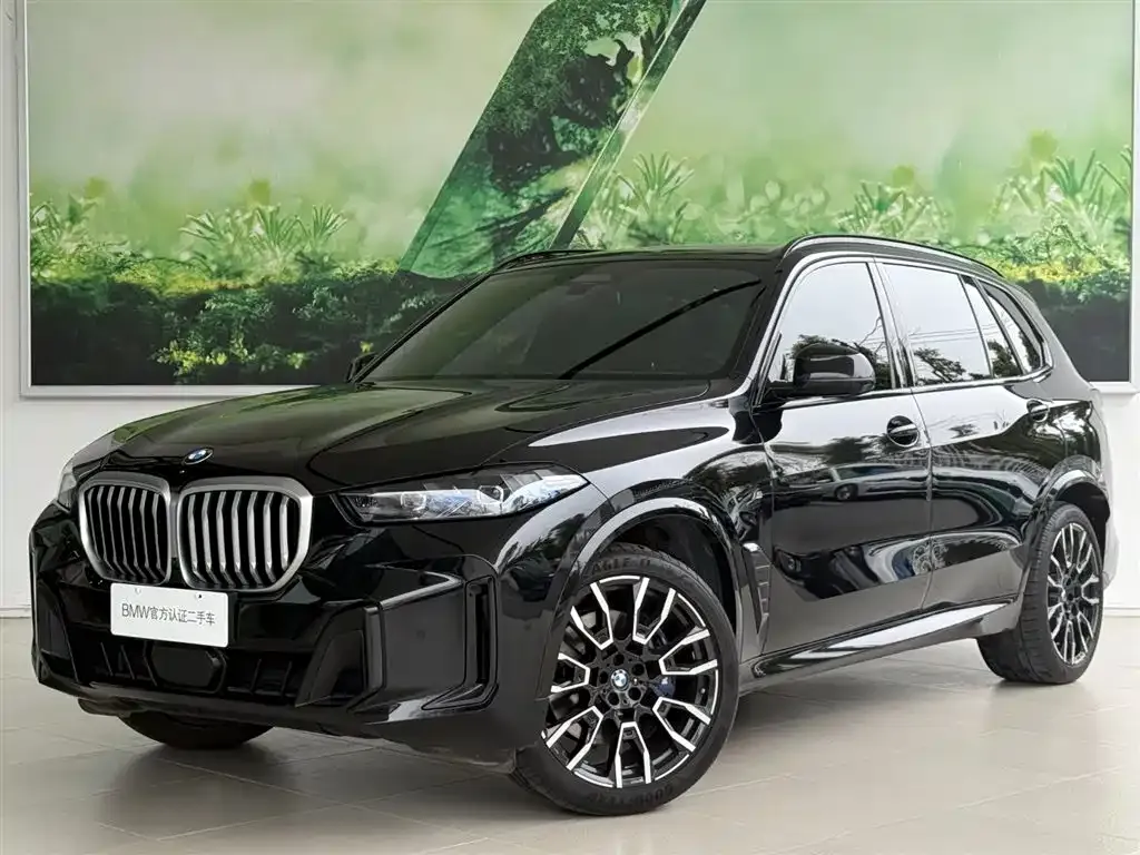 BMW X5 — фото 1