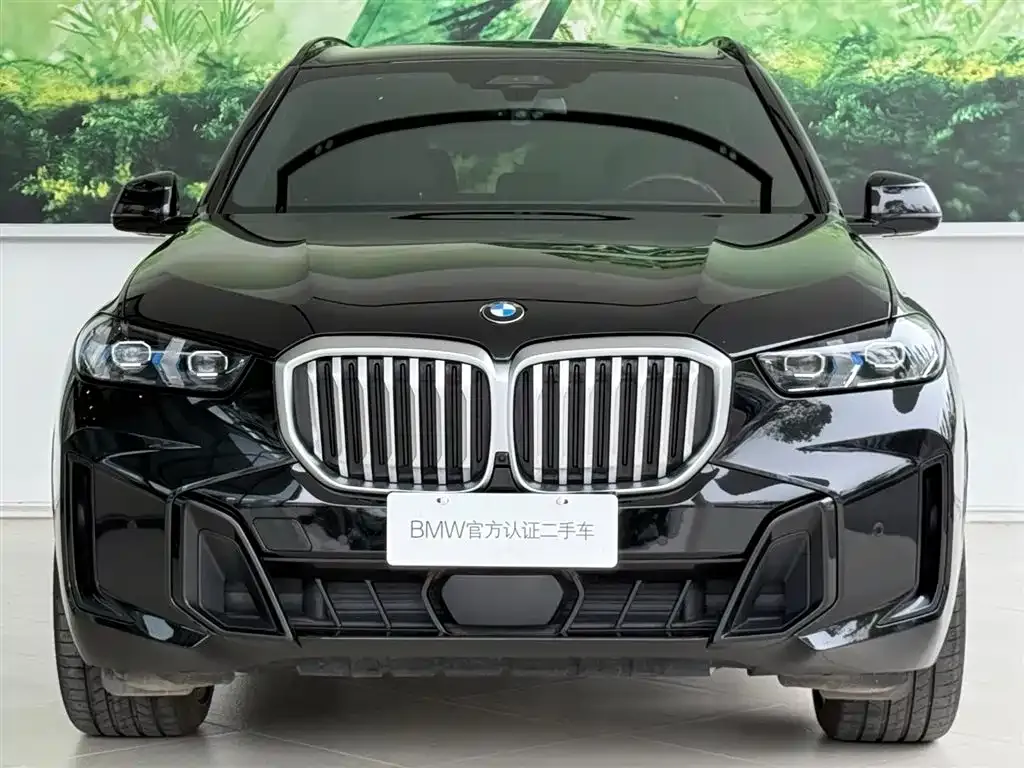BMW X5 — фото 9