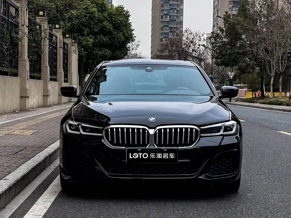 BMW 5 Series New Energy — фото 8