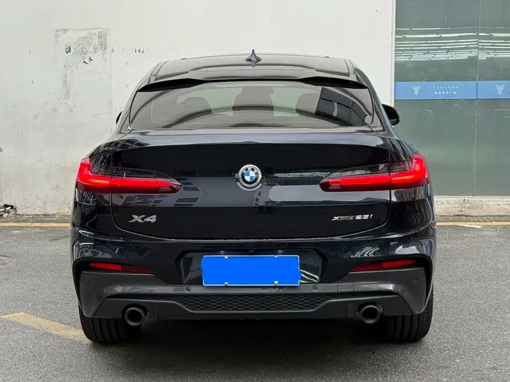 BMW X4 2021 из CN, фото 6