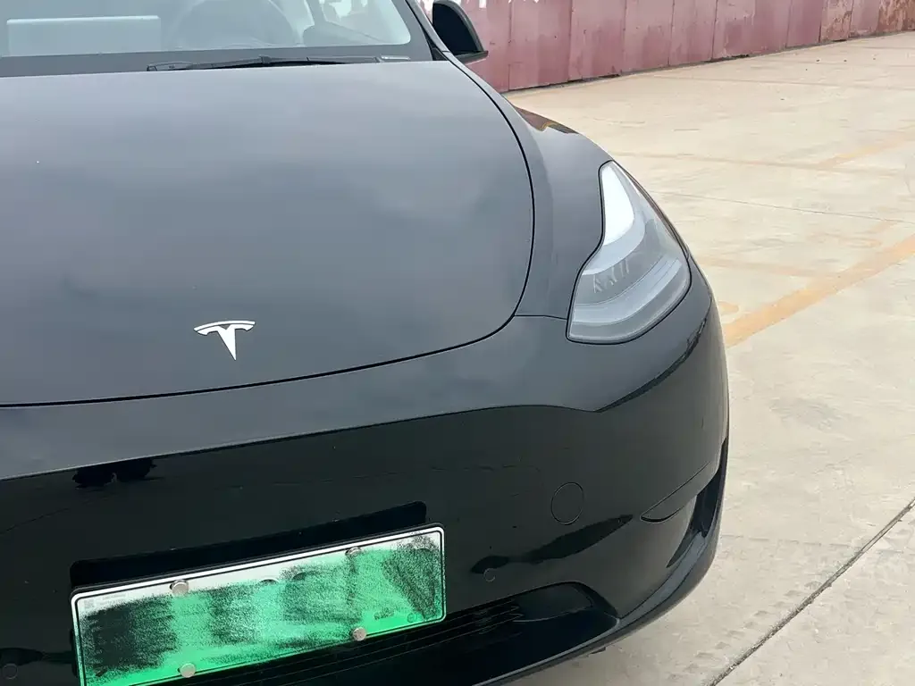 Tesla Model Y — фото 2