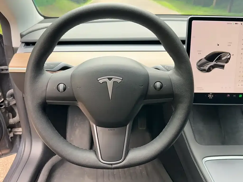 Tesla Model 3 2022 из CN, фото 7