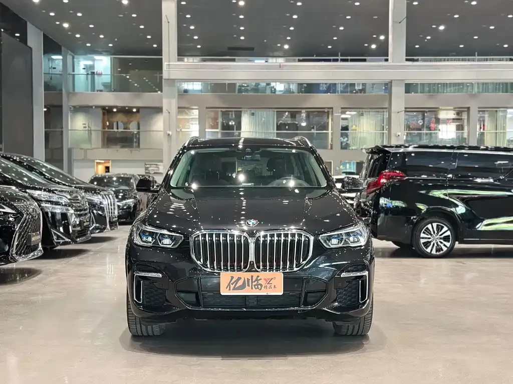 BMW X5 2022 из CN, фото 9