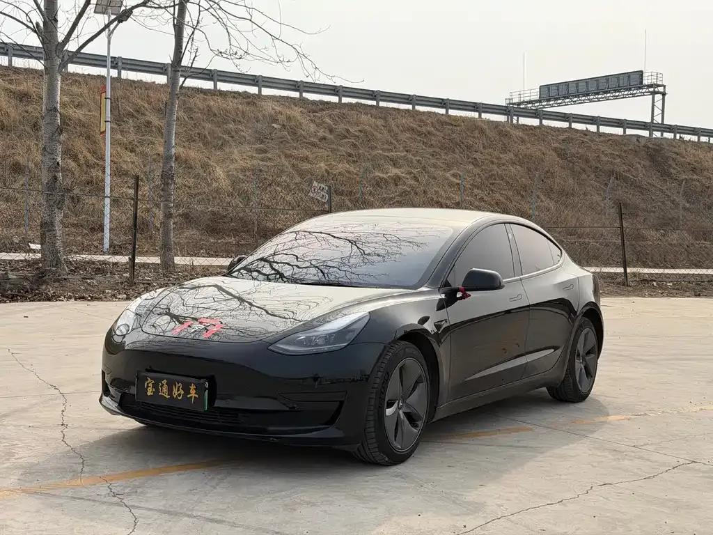 Tesla Model 3 2022 из CN, фото 1