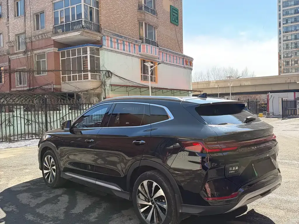 BYD PLUS 2024 из CN, фото 2