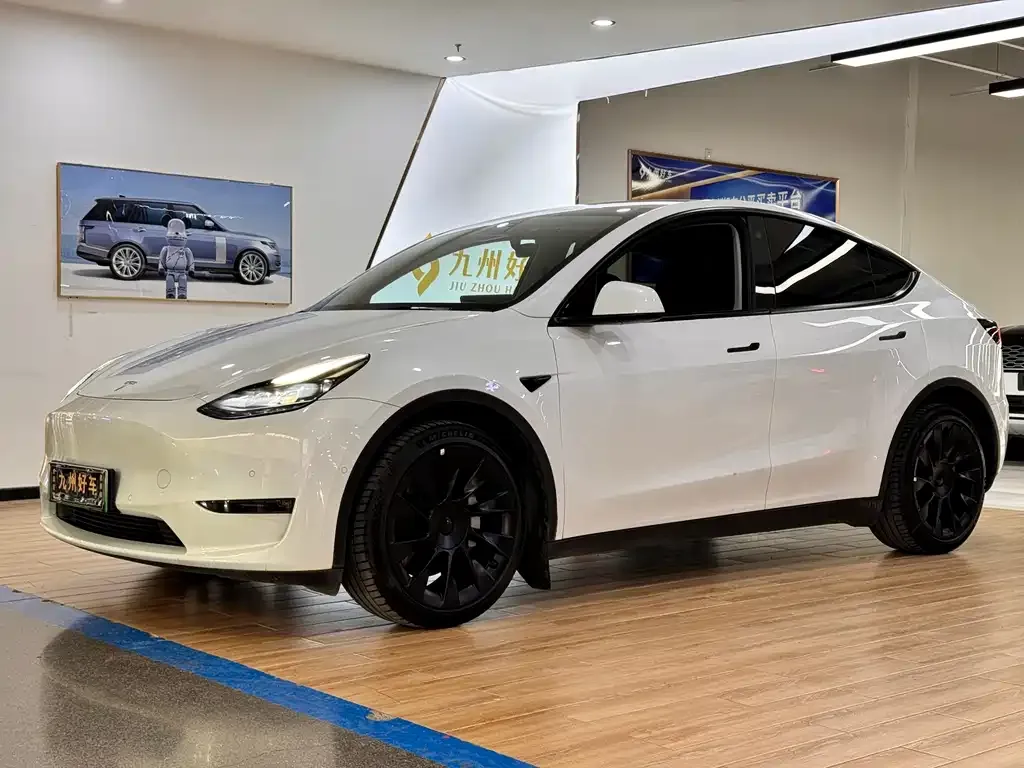 Tesla Model Y — фото 1