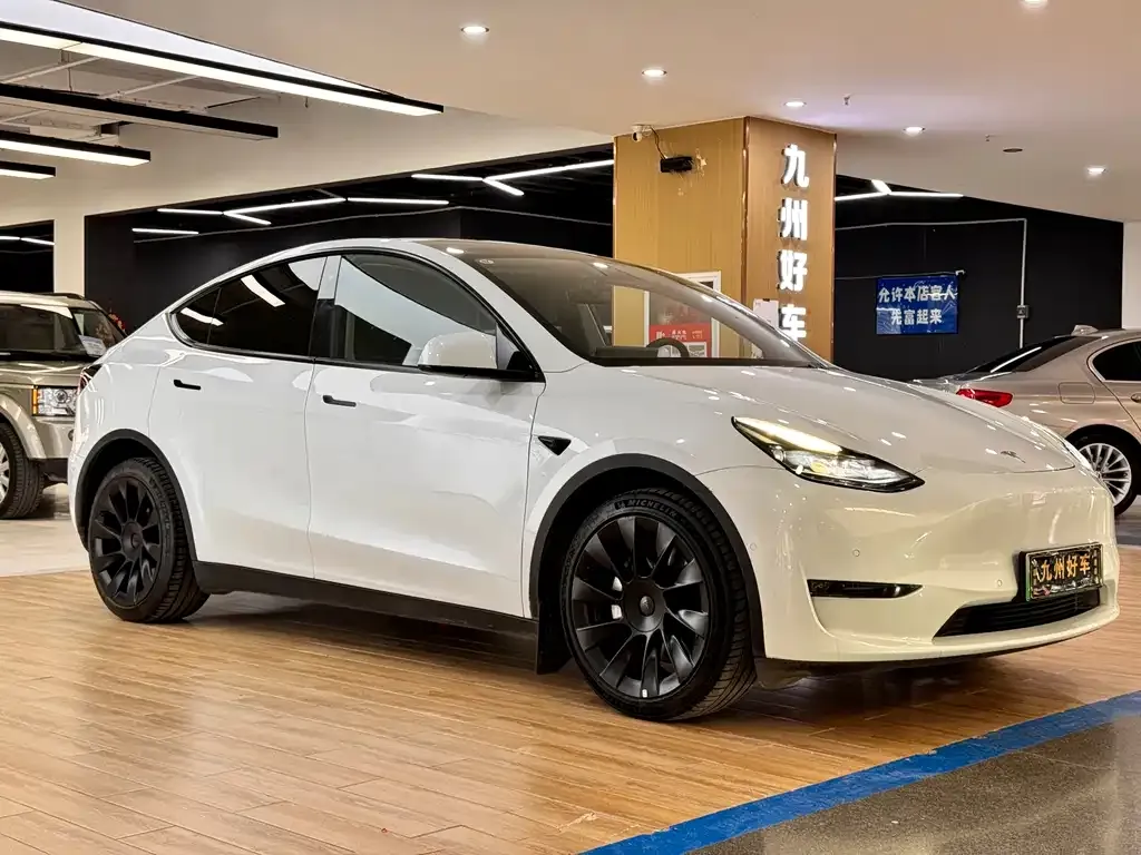 Tesla Model Y — фото 3