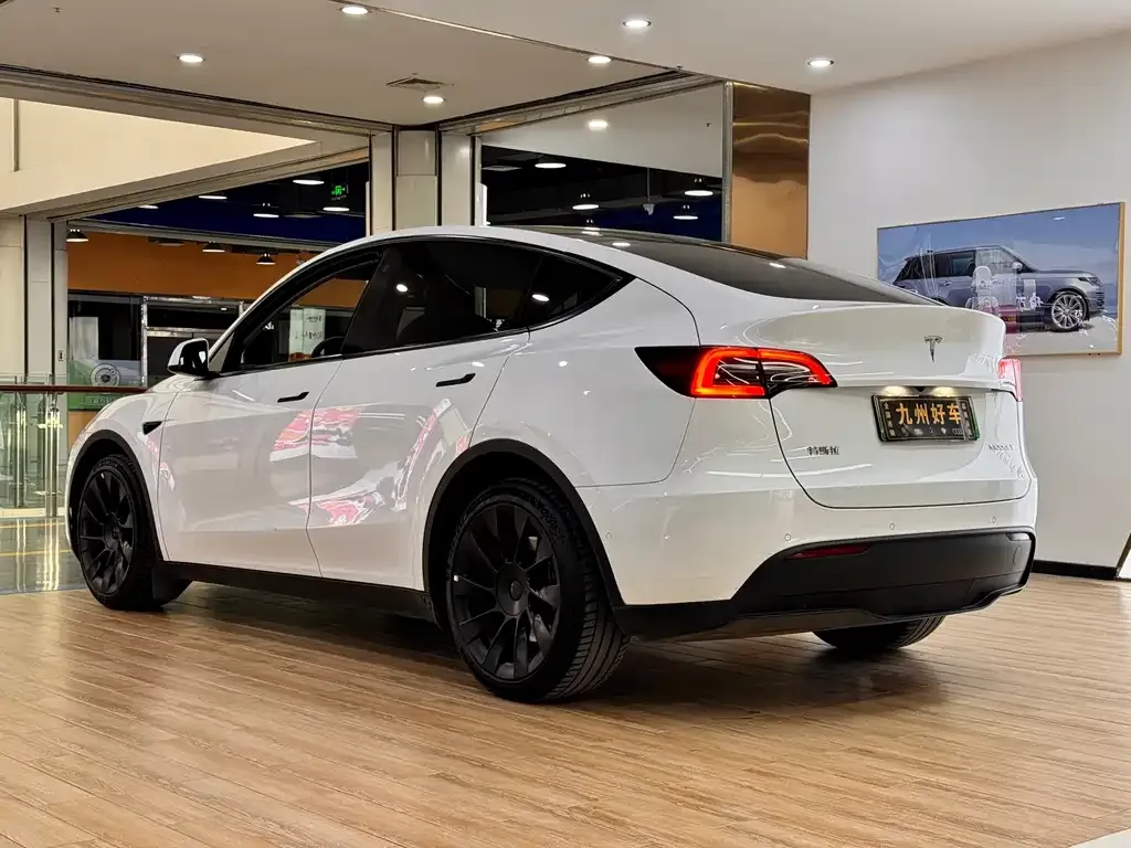 Tesla Model Y — фото 9