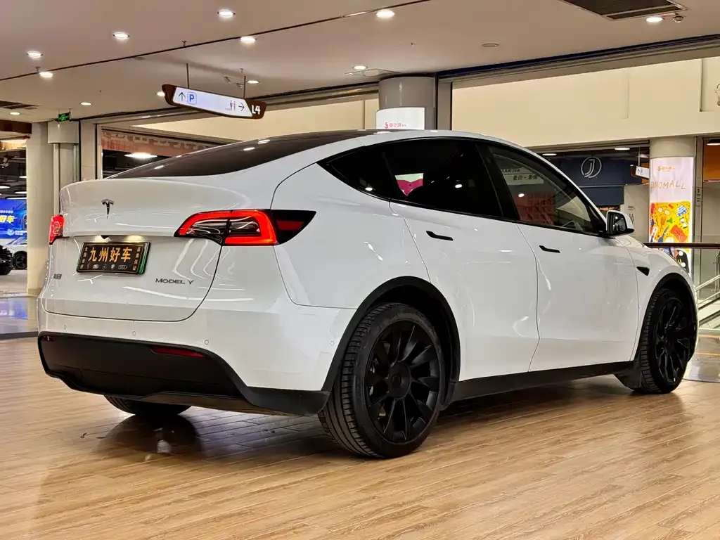 Tesla Model Y — фото 10