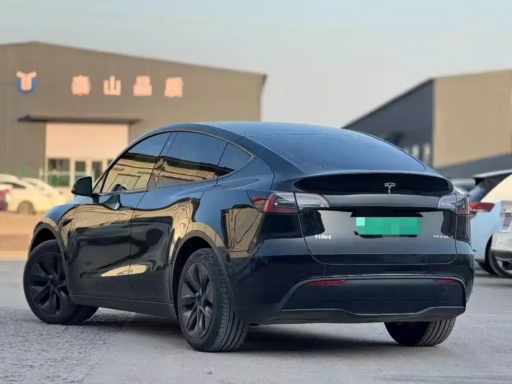 Tesla Model Y 2024 из CN, фото 8
