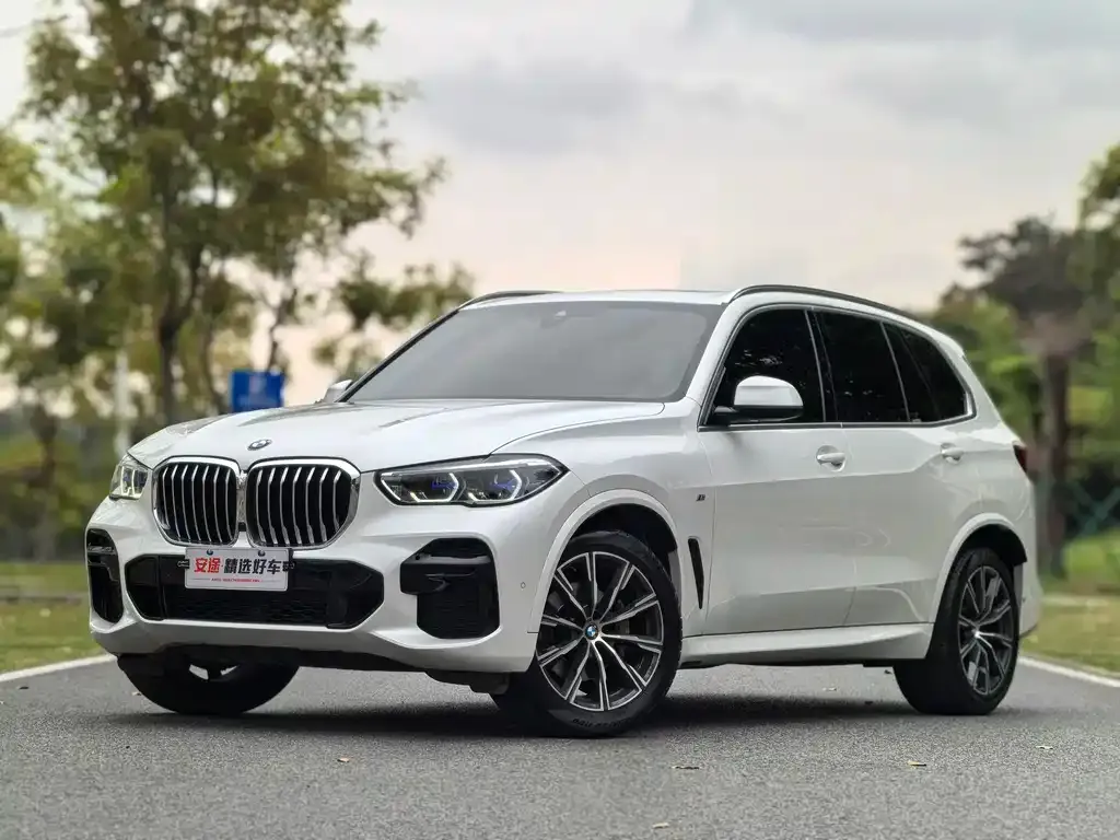 BMW X5 (Import) — фото 1