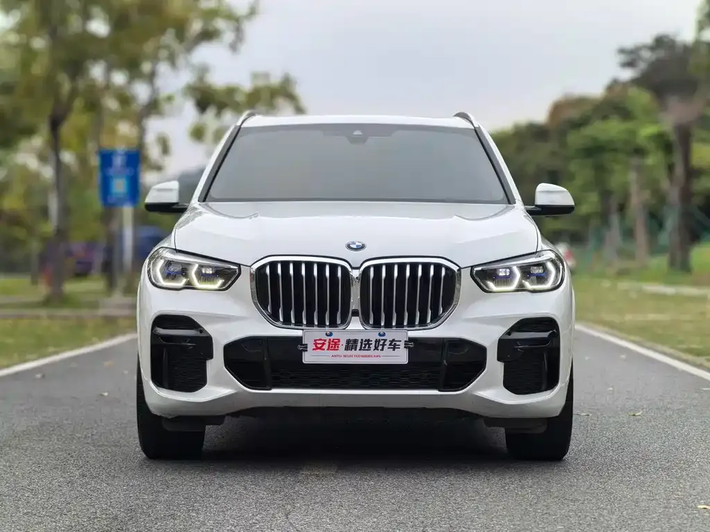 BMW X5 (Import) — фото 9