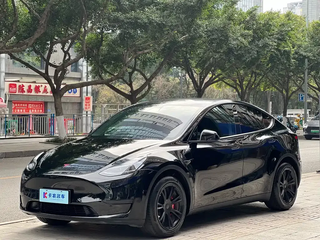 Tesla Model Y 2023 из CN, фото 1
