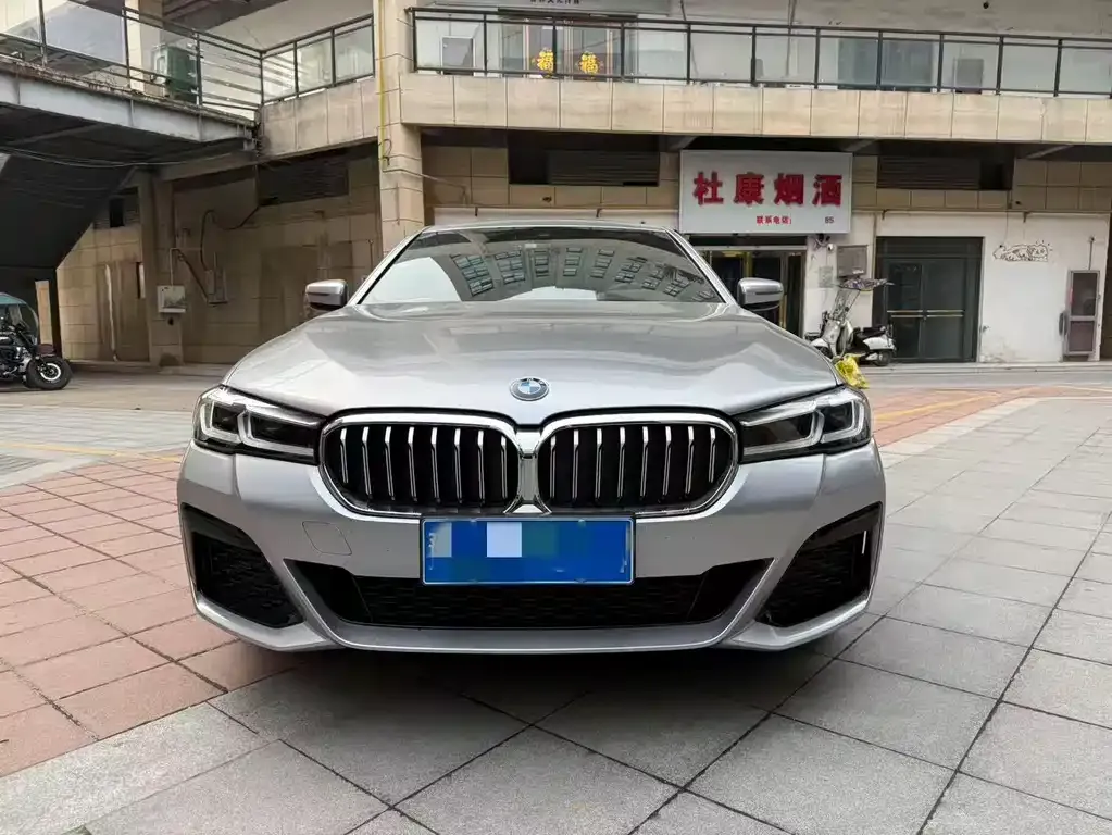 BMW 5 Series 2022 из CN, фото 5
