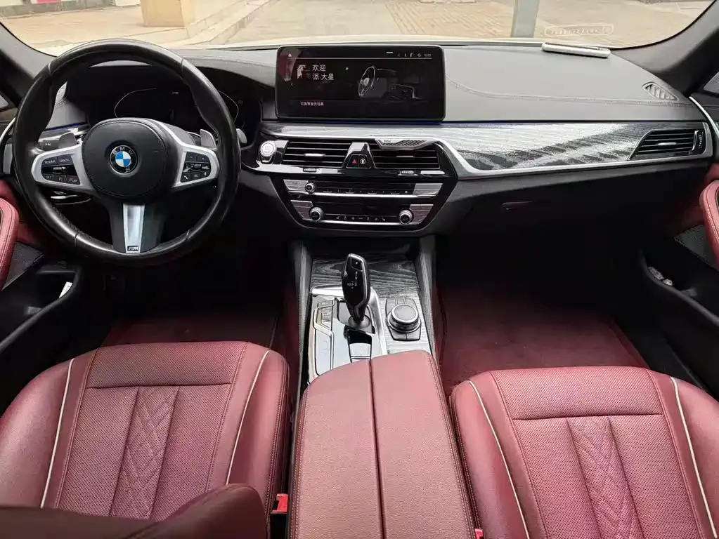 BMW 5 Series 2022 из CN, фото 7