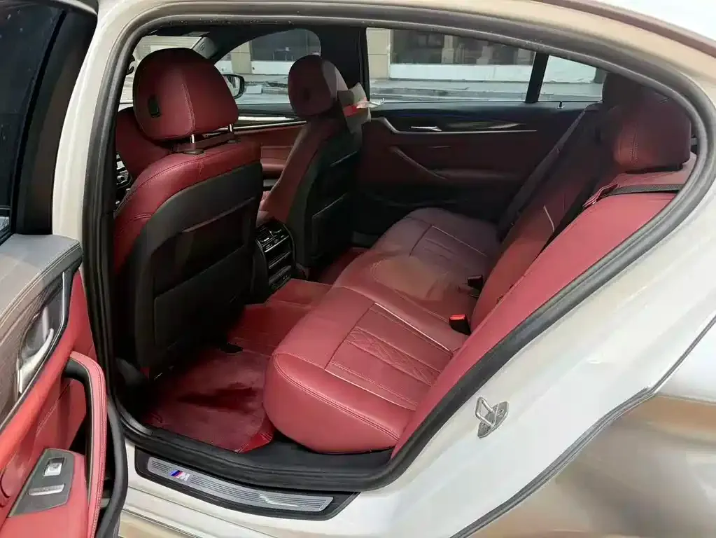BMW 5 Series 2022 из CN, фото 9