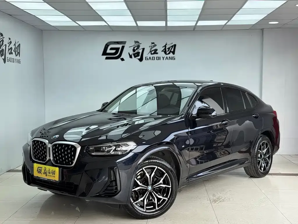 BMW X4 2022 из CN, фото 1