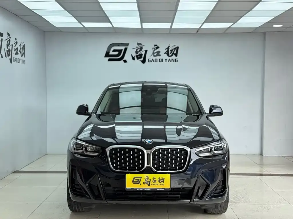 BMW X4 2022 из CN, фото 6