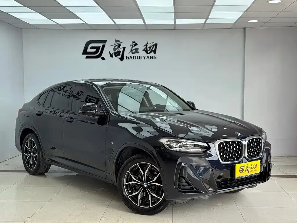 BMW X4 2022 из CN, фото 5