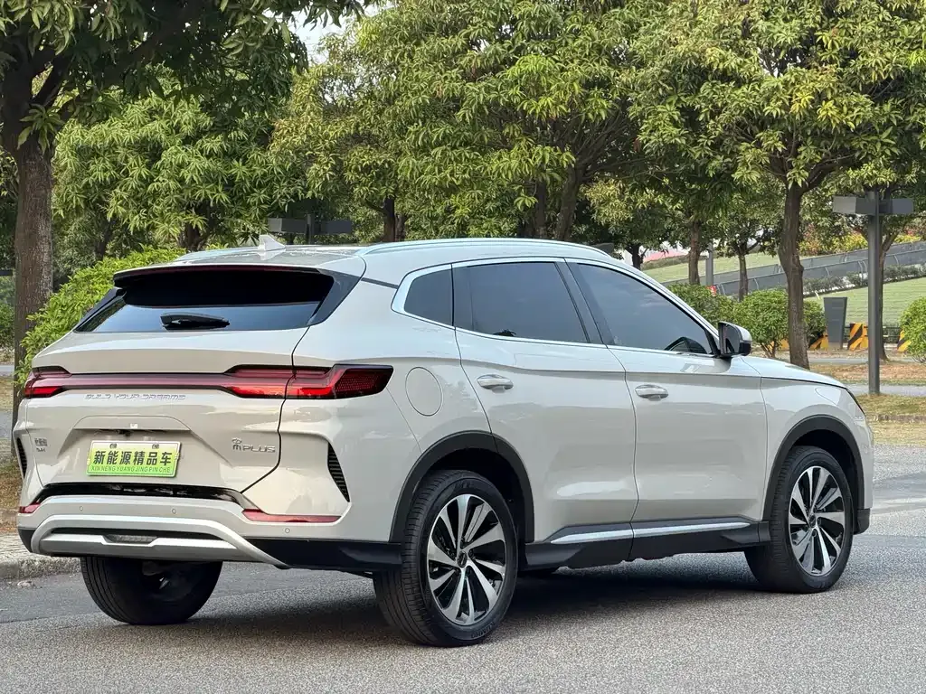 BYD PLUS New Energy — фото 3