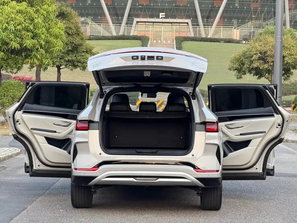 BYD PLUS New Energy — фото 10
