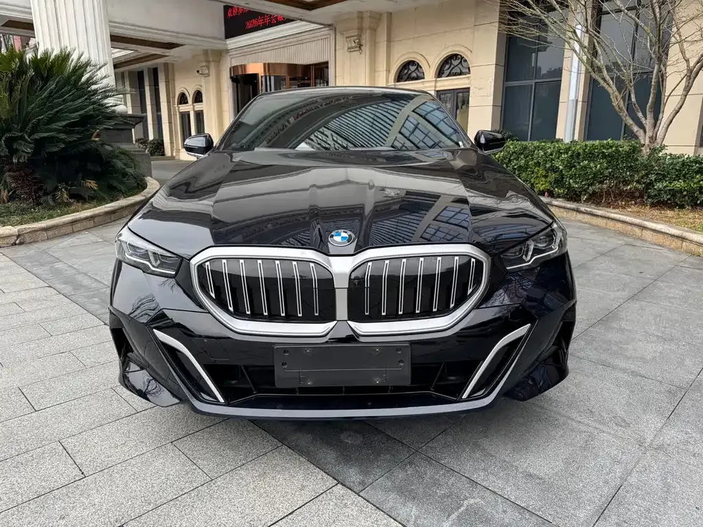 BMW 5 Series 2024 из CN, фото 6