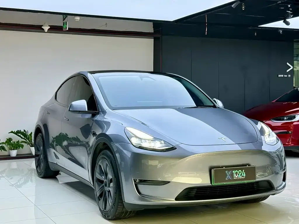 Tesla Model Y — фото 9