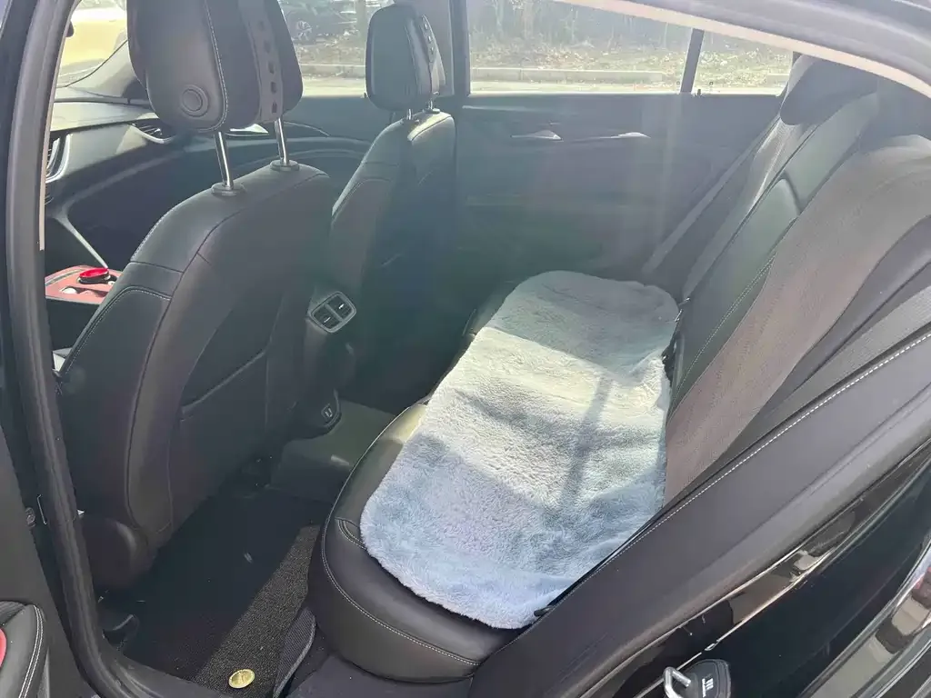Buick Regal — фото 4
