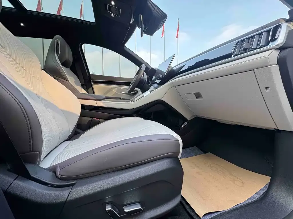BYD PLUS New Energy — фото 10