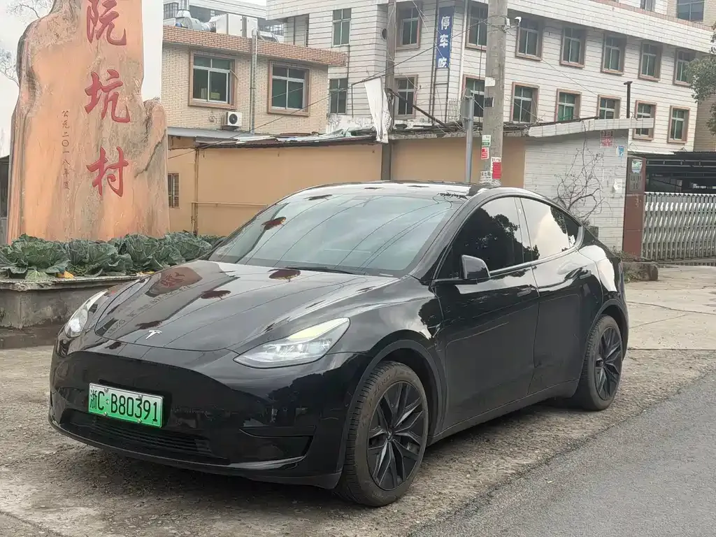 Tesla Model Y — фото 1