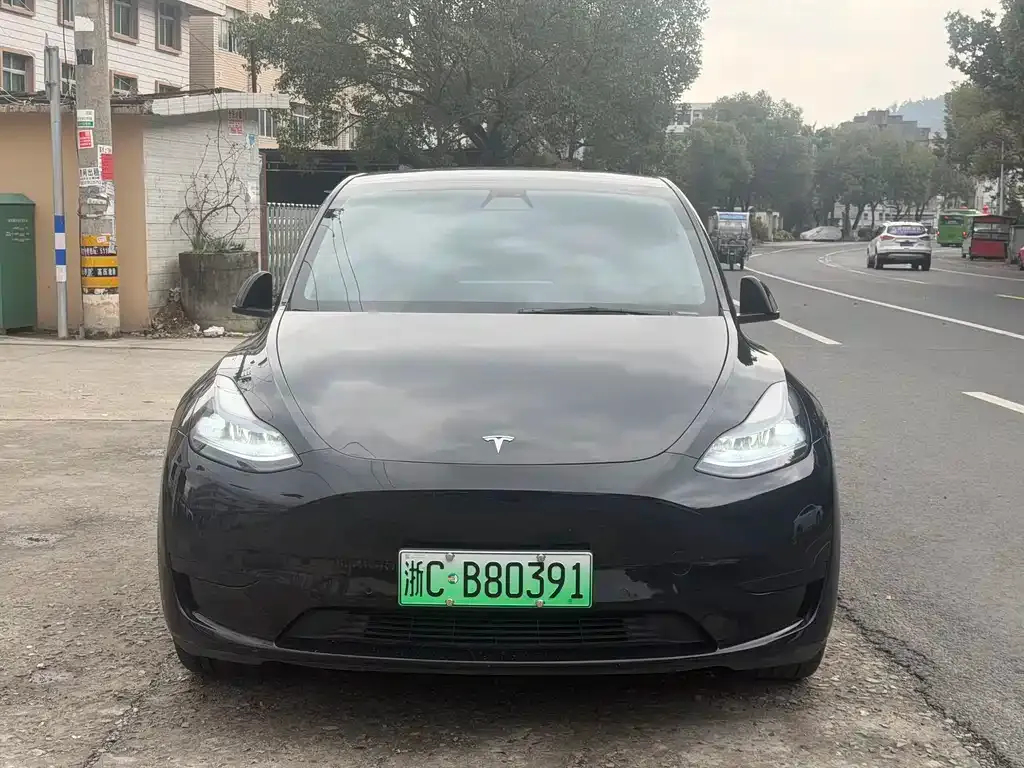 Tesla Model Y — фото 10
