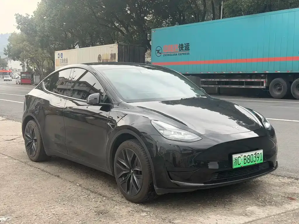 Tesla Model Y — фото 7